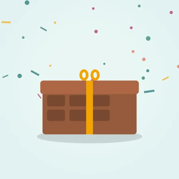 Dry Fruit Gift Box (empty)
